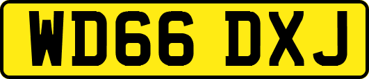 WD66DXJ