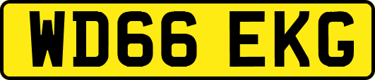 WD66EKG