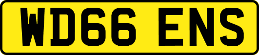 WD66ENS