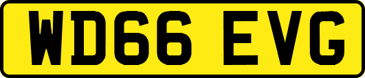 WD66EVG