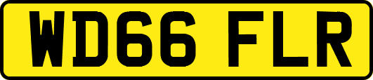 WD66FLR