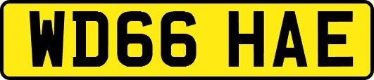WD66HAE