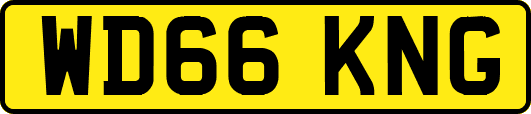 WD66KNG