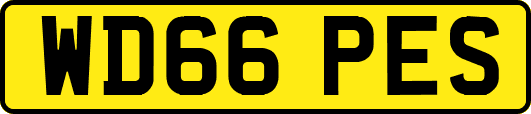 WD66PES