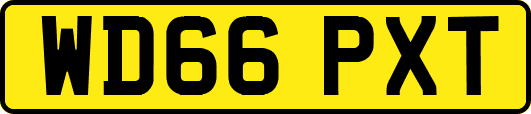 WD66PXT