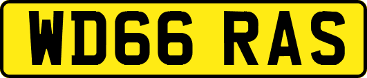 WD66RAS