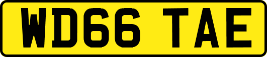 WD66TAE