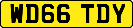 WD66TDY