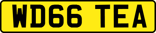 WD66TEA