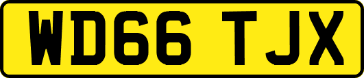 WD66TJX