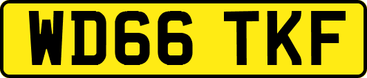 WD66TKF