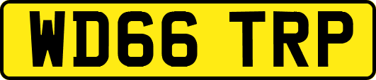 WD66TRP