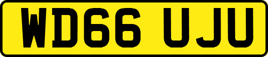 WD66UJU