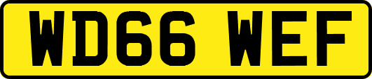 WD66WEF