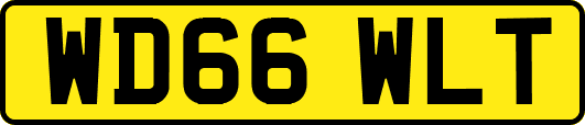 WD66WLT