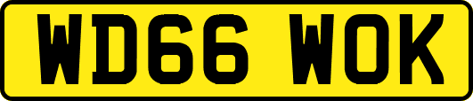 WD66WOK
