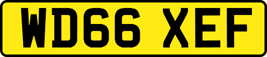 WD66XEF