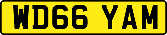 WD66YAM