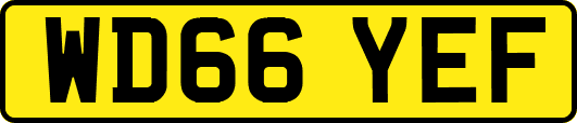 WD66YEF