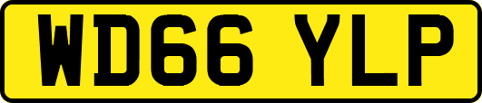 WD66YLP