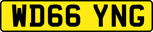 WD66YNG