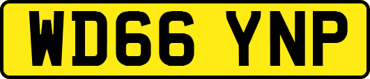 WD66YNP