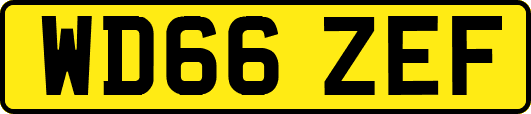 WD66ZEF
