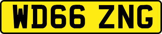 WD66ZNG