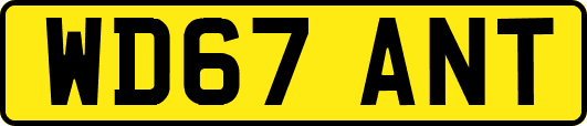 WD67ANT