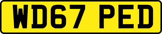 WD67PED