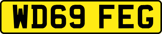 WD69FEG