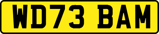 WD73BAM