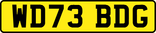 WD73BDG
