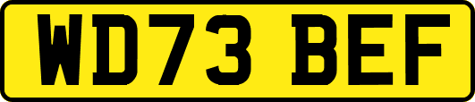 WD73BEF