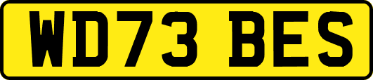 WD73BES