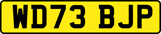 WD73BJP