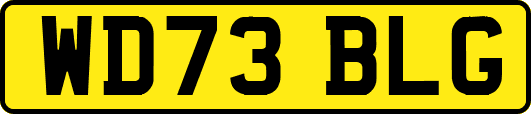 WD73BLG