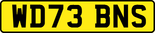 WD73BNS