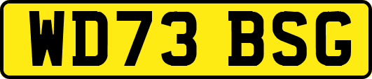 WD73BSG