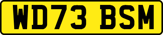 WD73BSM