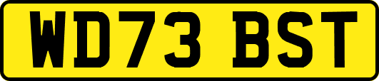 WD73BST