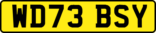 WD73BSY