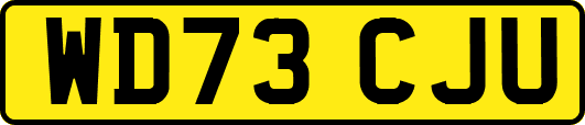 WD73CJU