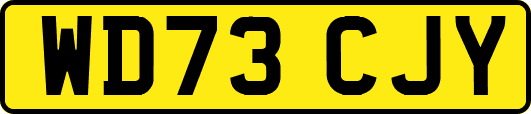 WD73CJY
