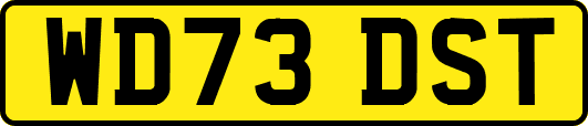 WD73DST