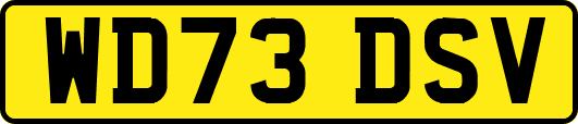 WD73DSV