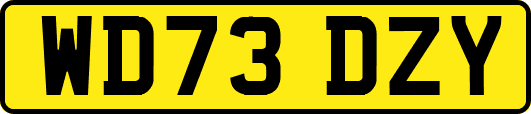 WD73DZY