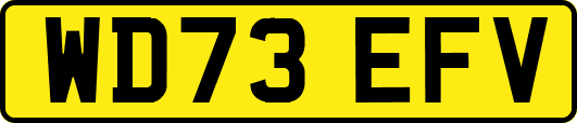 WD73EFV