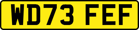 WD73FEF