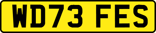 WD73FES